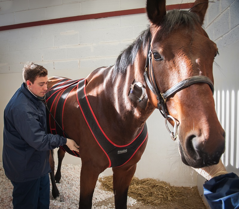 Colic Colic Specialisms Hospital and Specialists RVC Equine